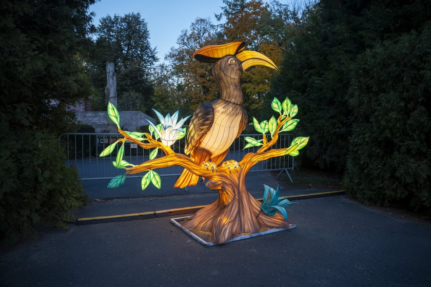 Wystawa Garden of Lights: Dzika Azja we wrocławskim zoo, październik 2024